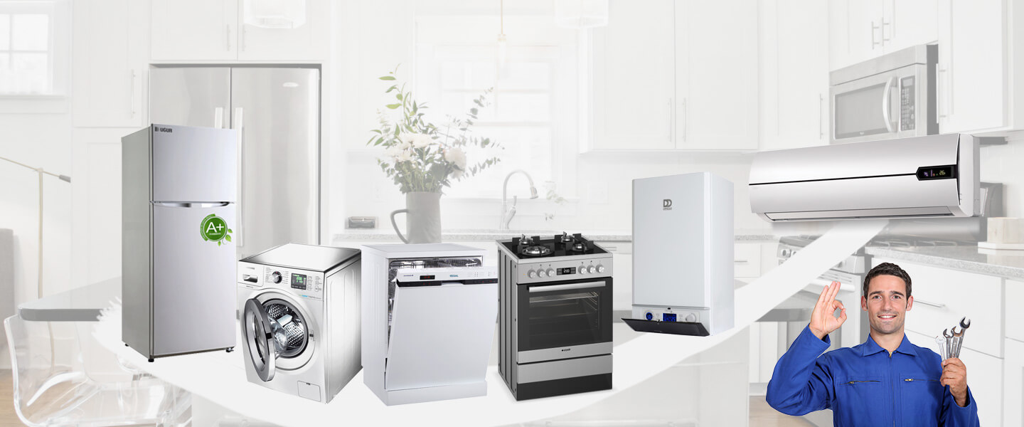Lice Vaillant Servisi